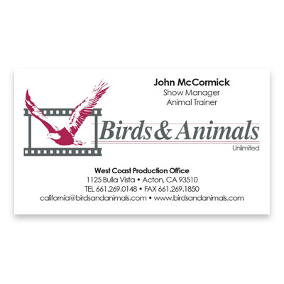 Birds & Animals : Business Card
